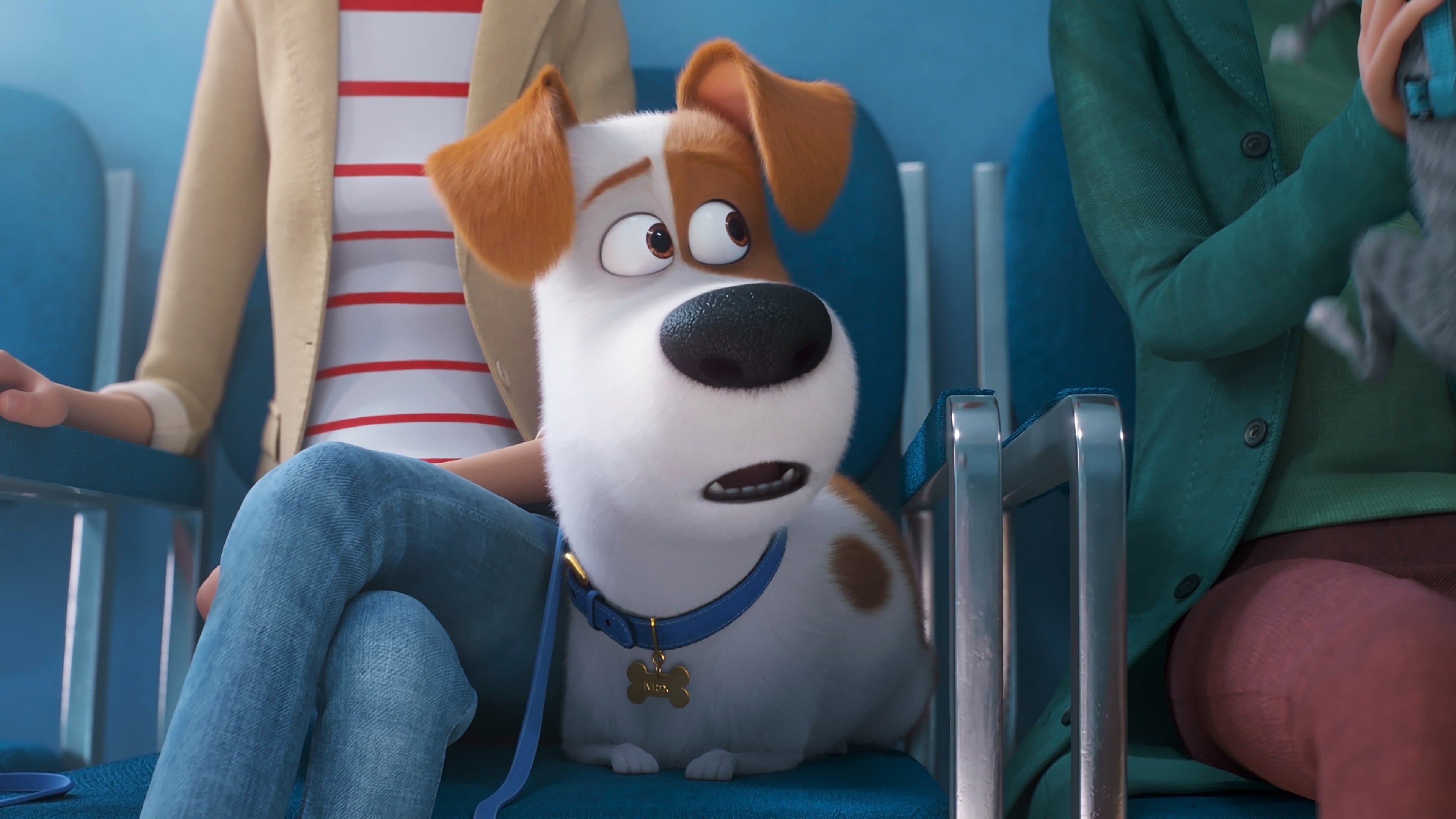 Pets 2 - Vita da animali - immagine