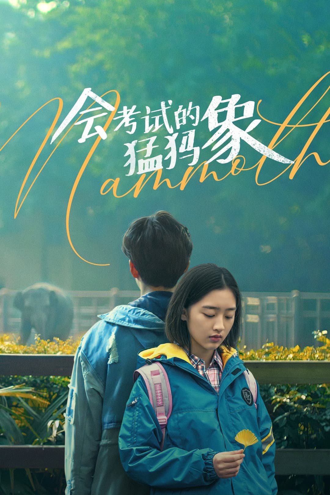 Poster di 会考试的猛犸象