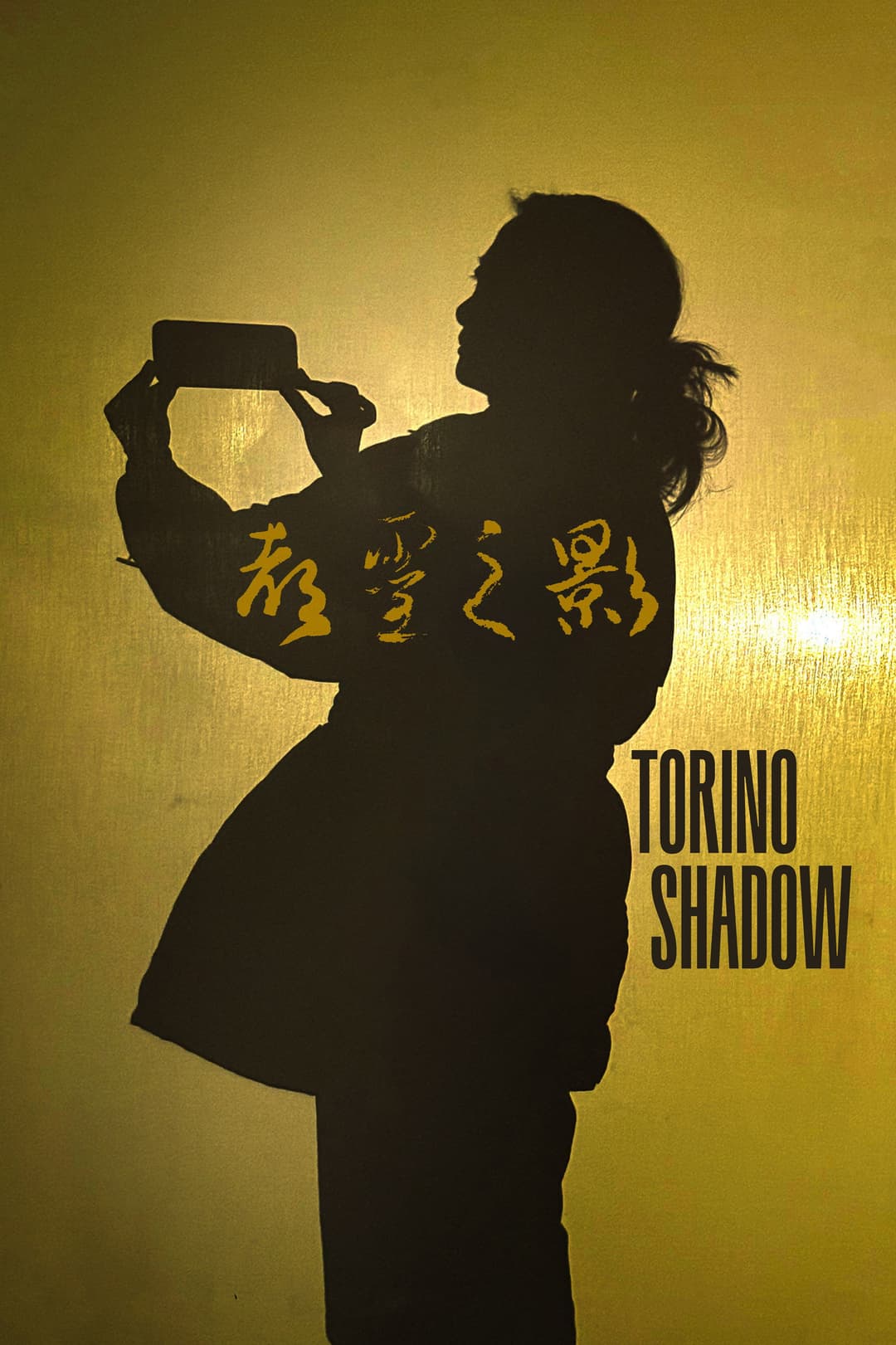 Poster di 都灵之影