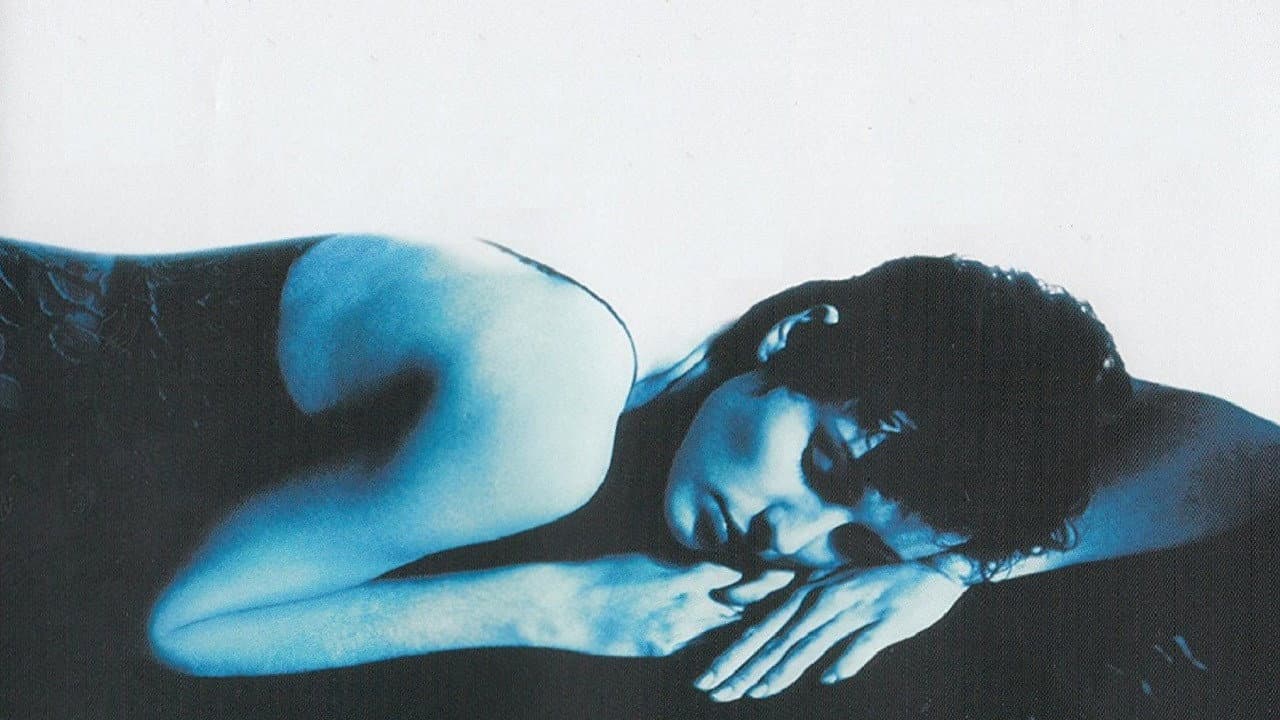 Comfortably Numb - immagine