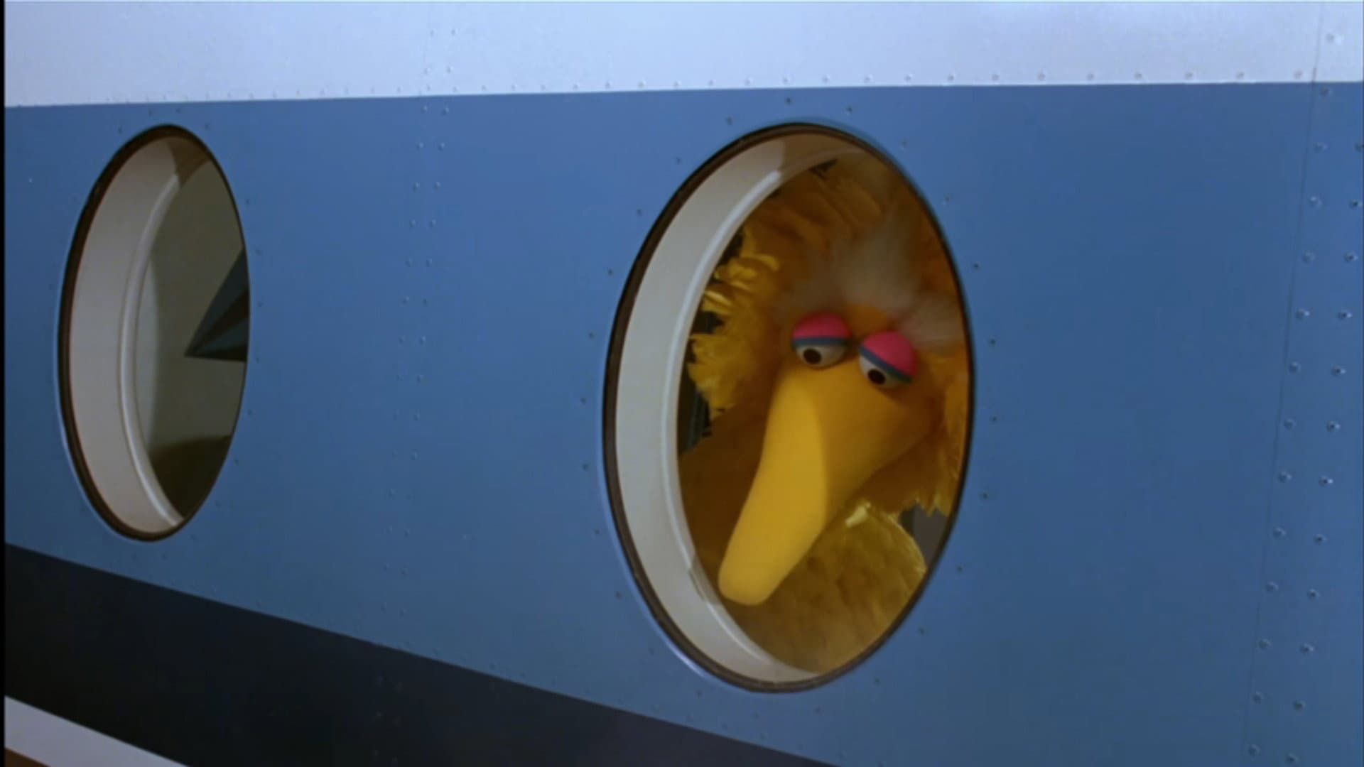 Follow That Bird - immagine