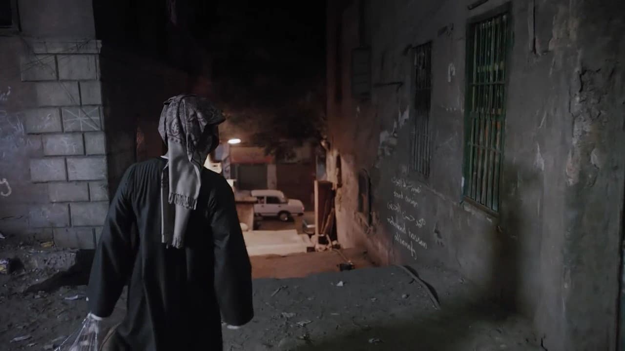 القط - immagine