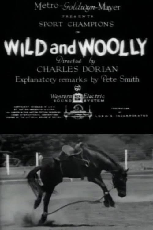 Poster di Wild and Woolly