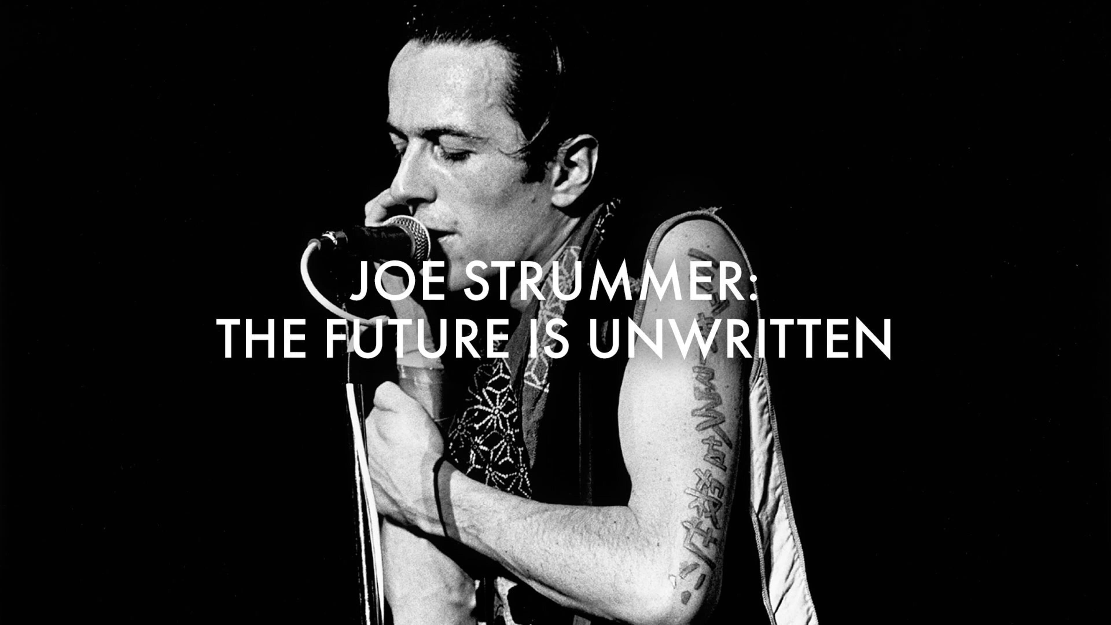 Joe Strummer: il futuro non è scritto - immagine