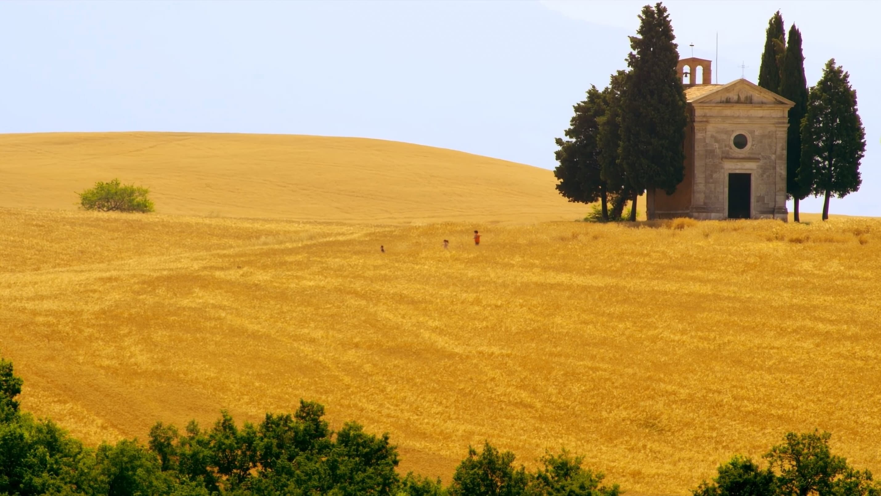 Mare di grano - immagine