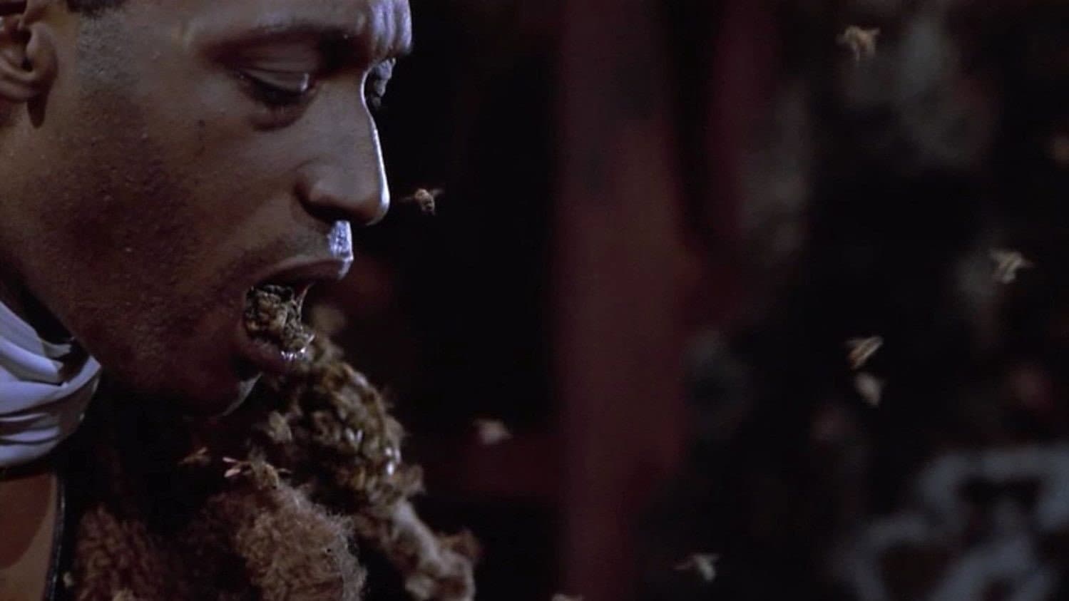 Candyman - Terrore dietro lo specchio - immagine