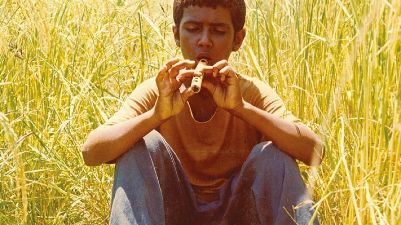 Bashù - Il piccolo straniero - immagine