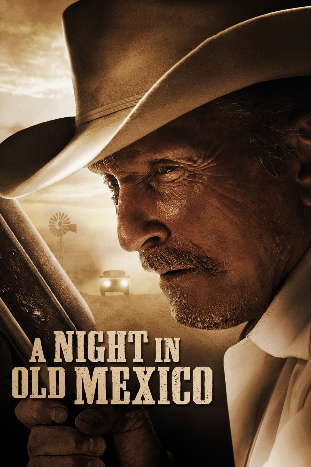 Poster di A Night in Old Mexico