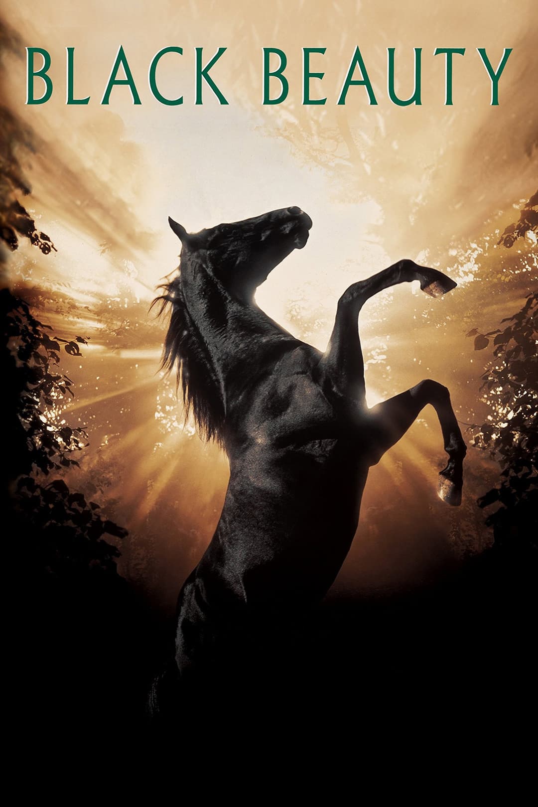 Poster di Black Beauty