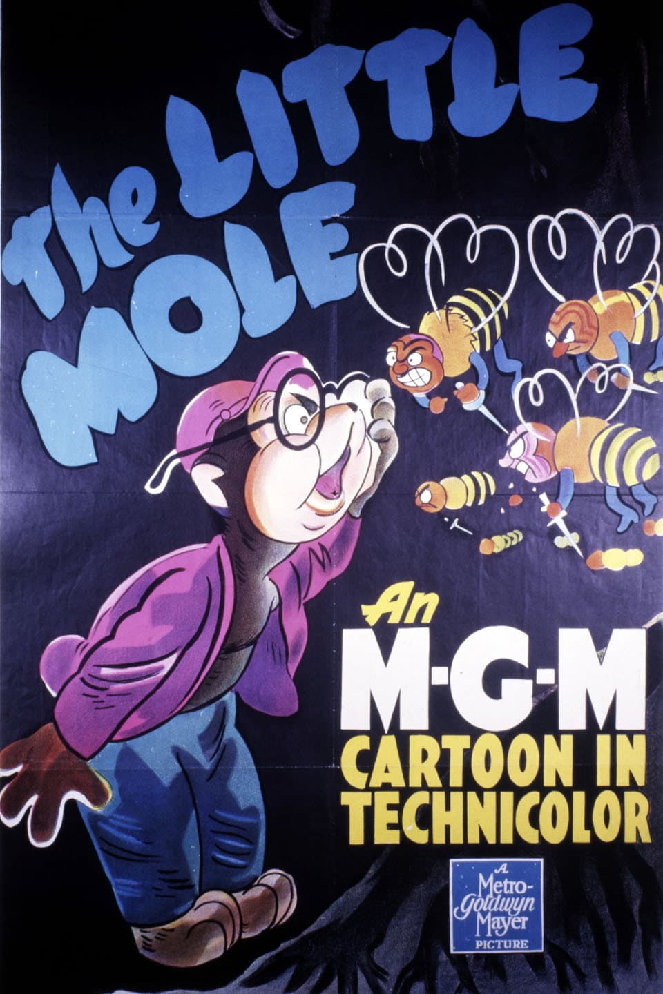 Poster di The Little Mole