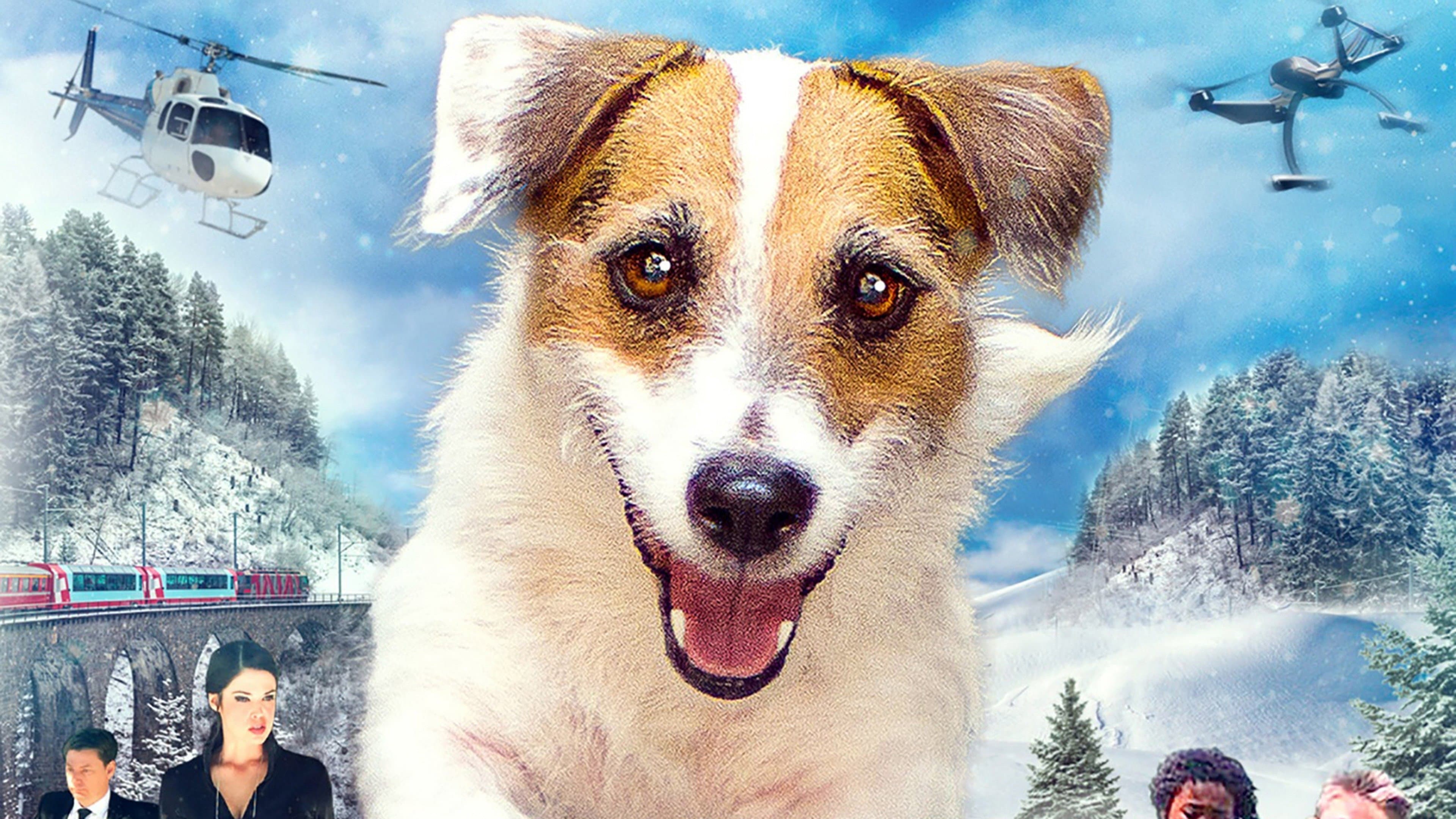 A Doggone Christmas - immagine
