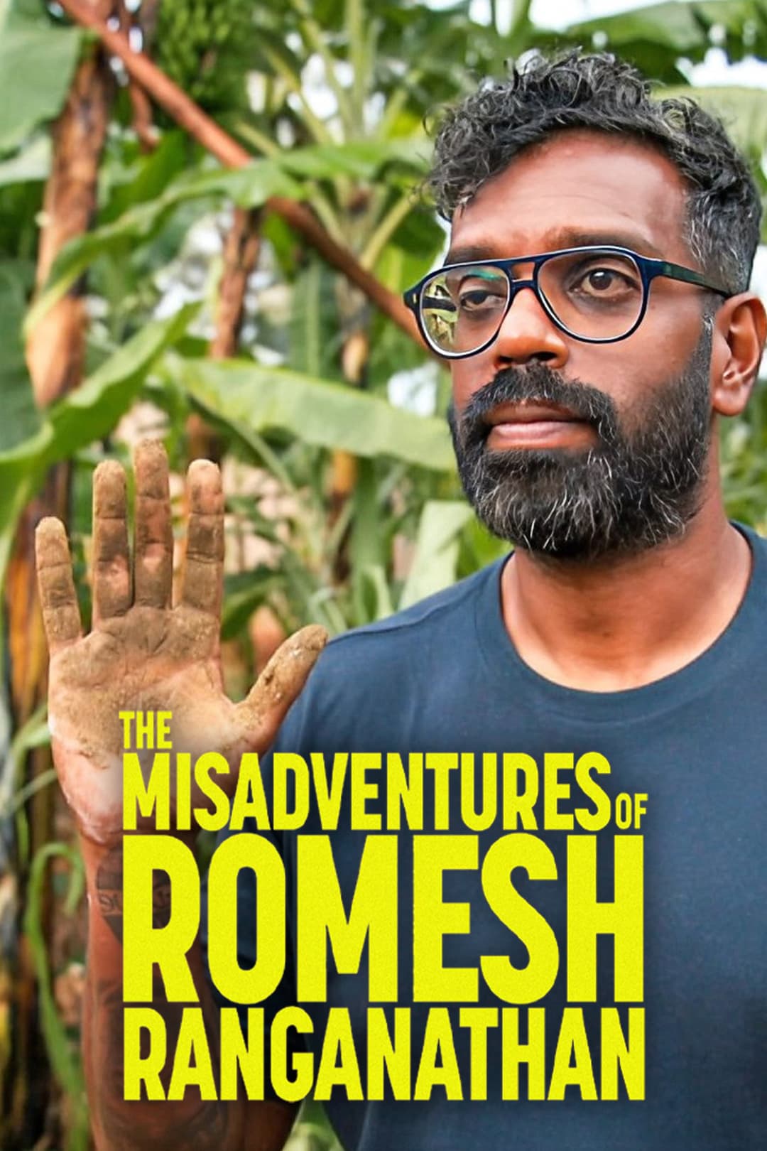 Poster di The Misadventures of Romesh Ranganathan