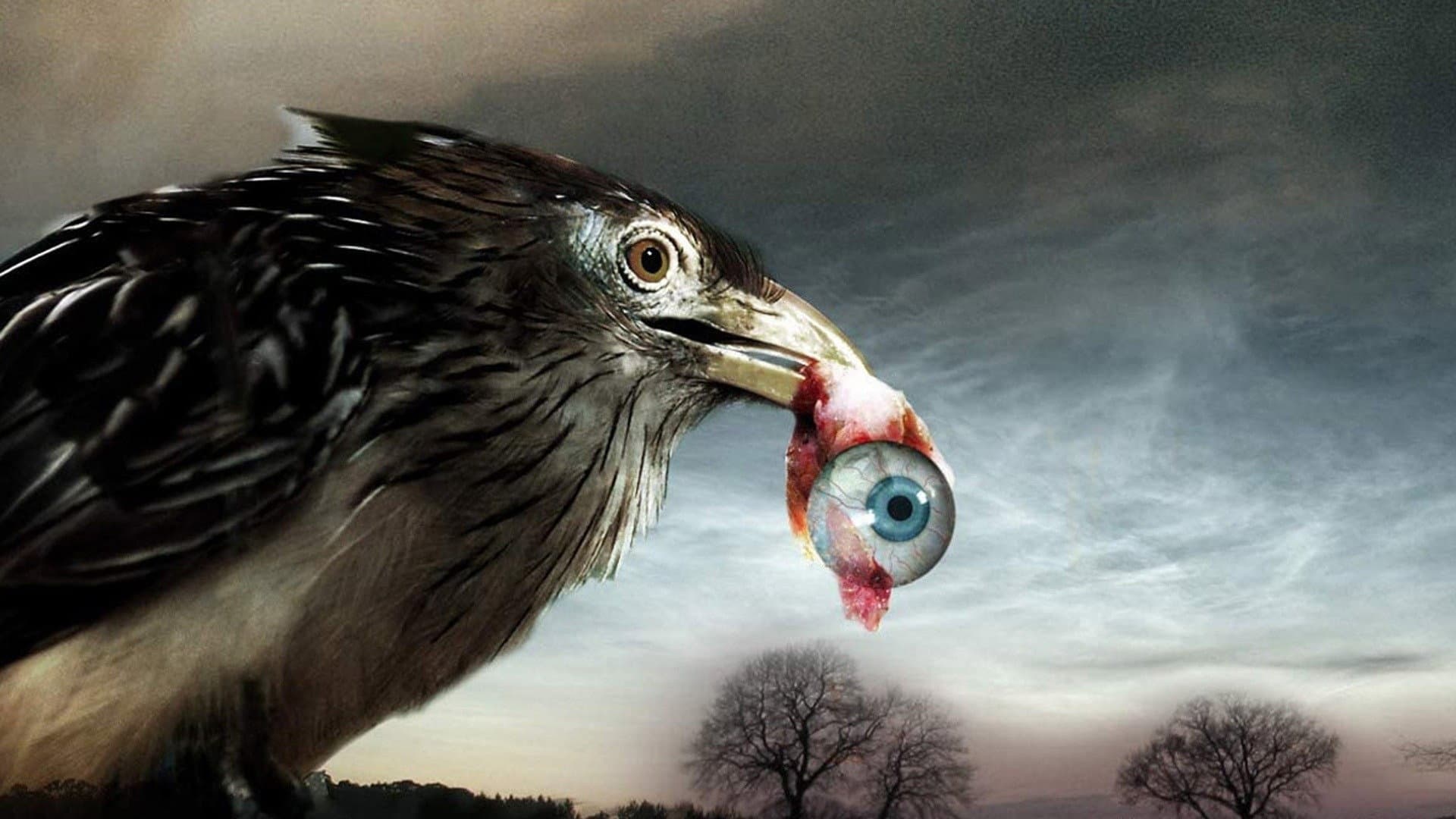 Flu Bird Horror - immagine