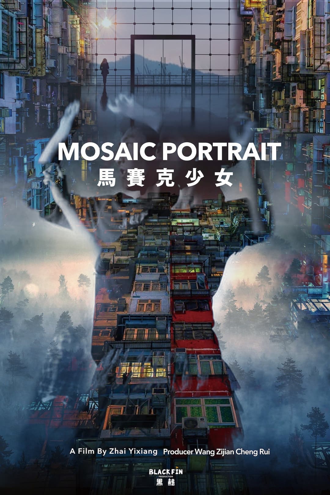 Poster di 马赛克少女