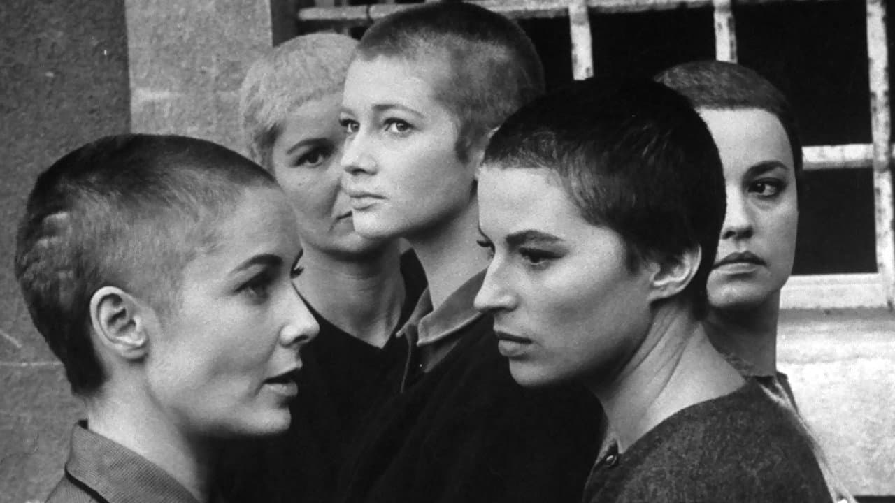 Jovanka e le altre - immagine