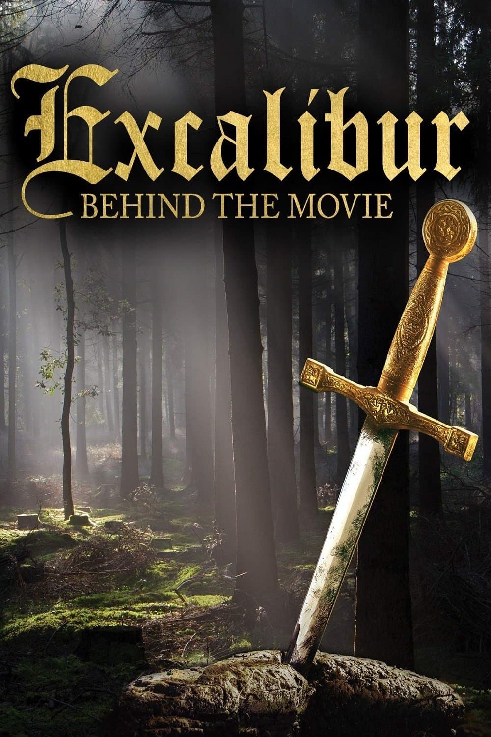 Poster di Excalibur: Behind the Movie