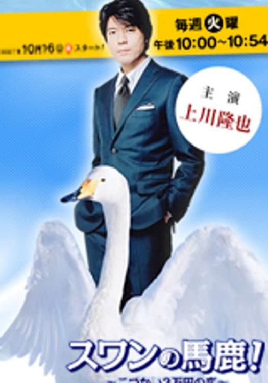 Poster di スワンの馬鹿 こづかい３万円の恋