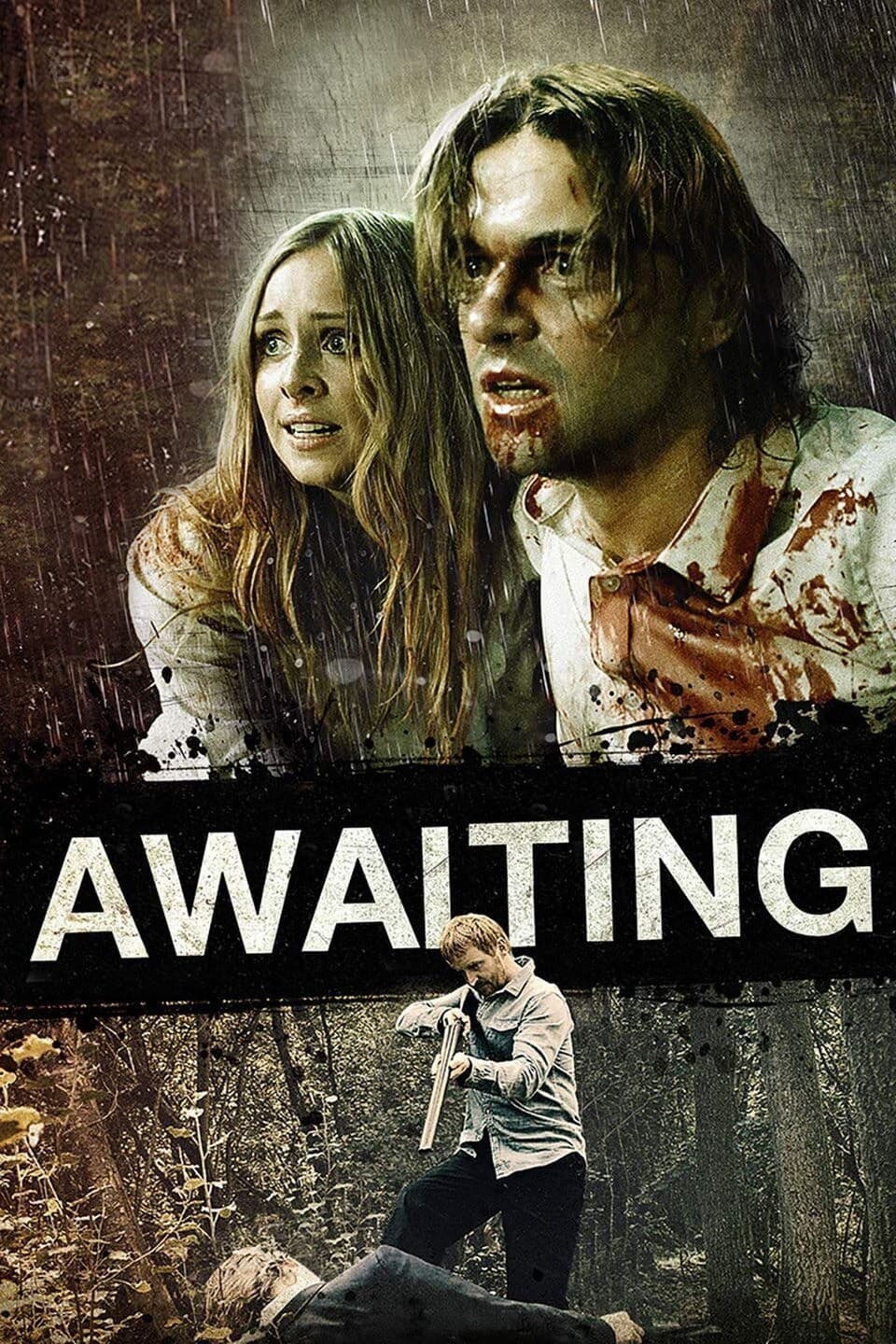 Poster di Awaiting