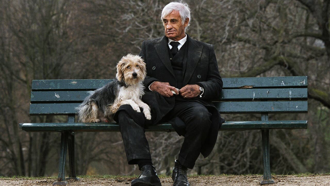 Un uomo e il suo cane - immagine