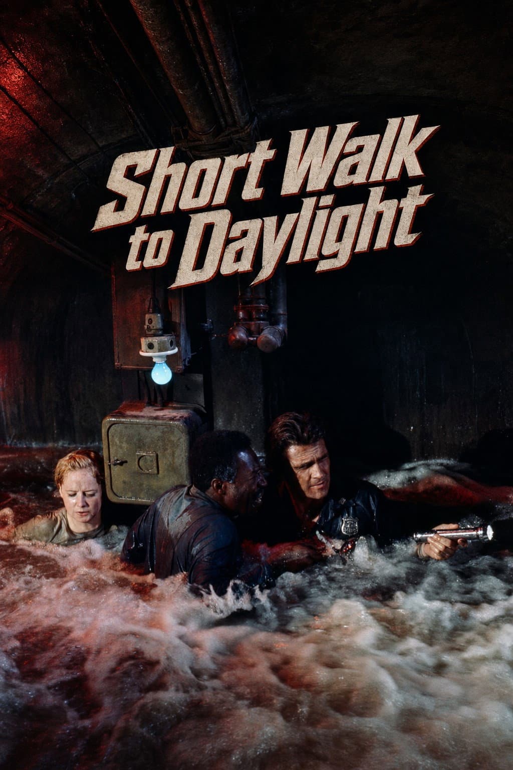 Poster di Short Walk to Daylight