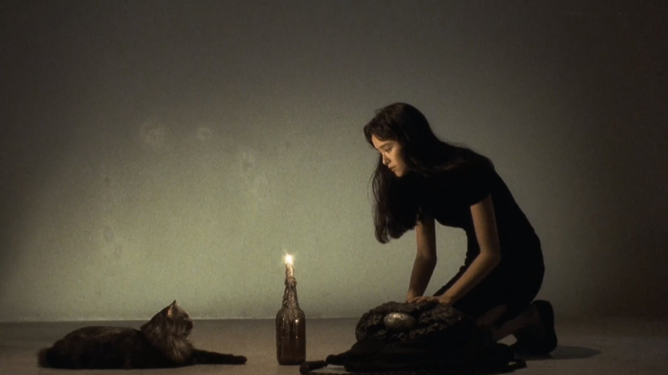 The Cat - immagine