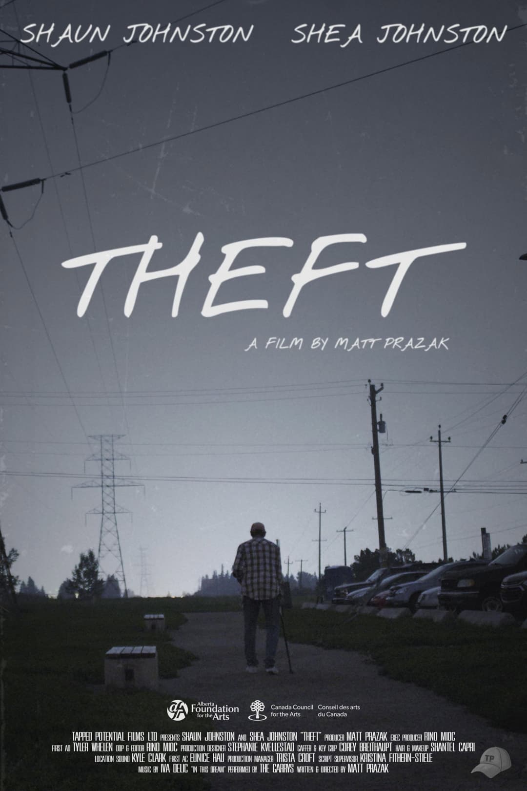 Poster di Theft