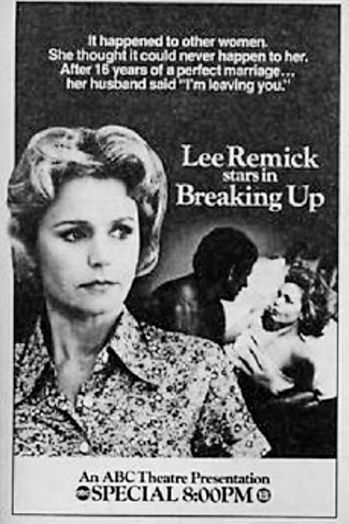Poster di Breaking Up