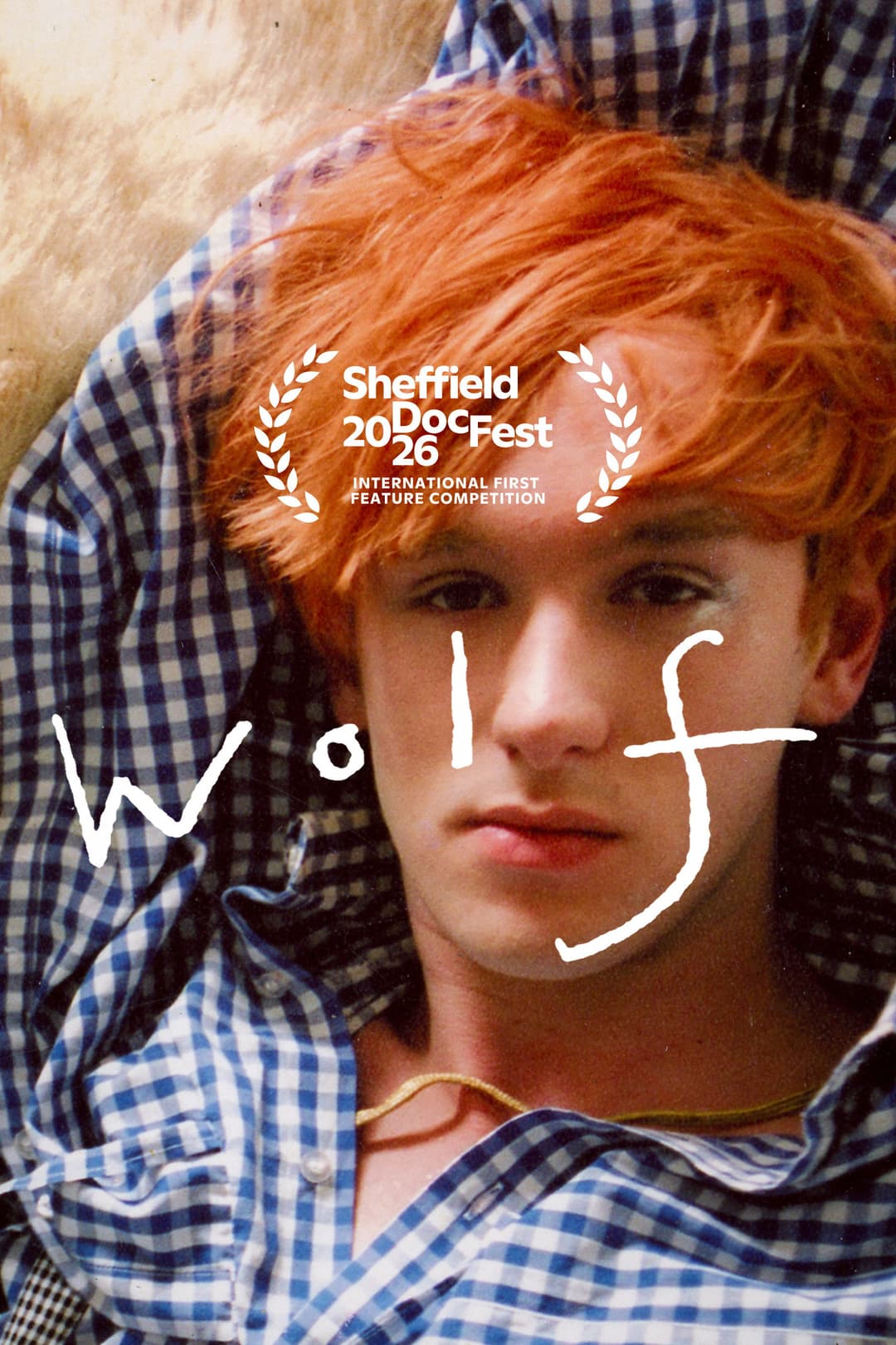Poster di WOLF