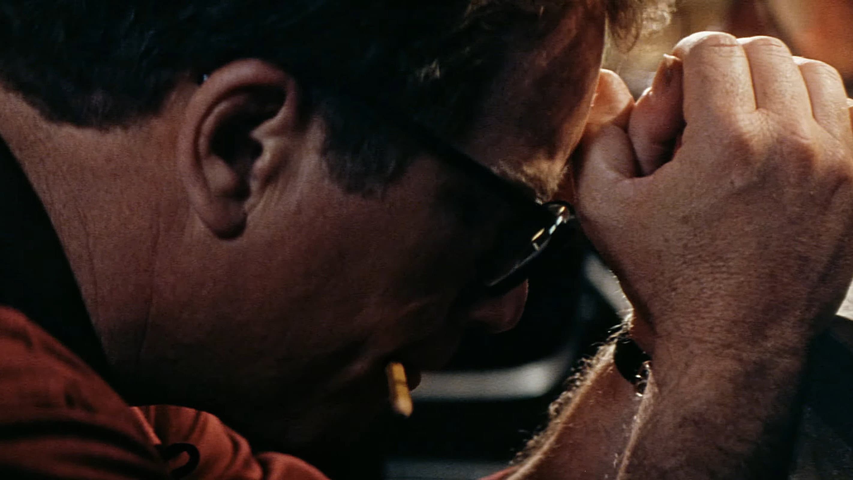 Goodbye Mr. Holland - immagine