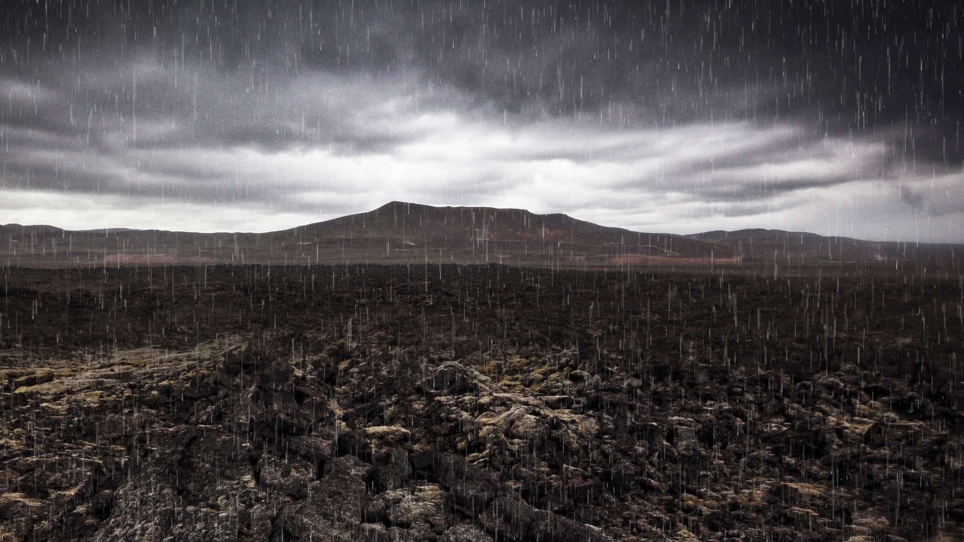 Mass Extinction: Life at the Brink - immagine