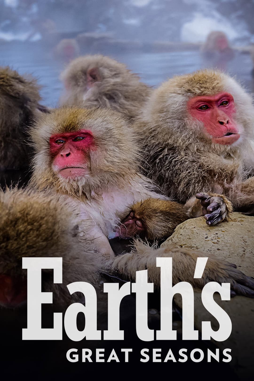 Poster di Earth's Seasonal Secrets