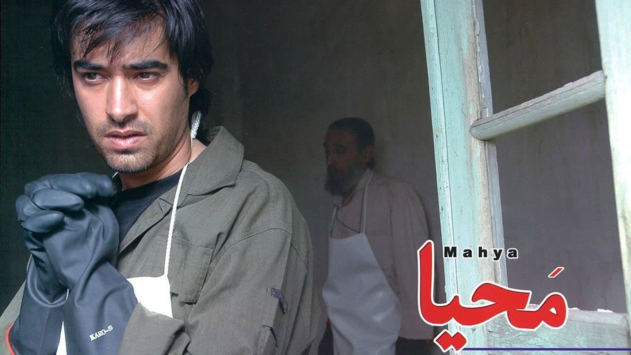 محیا - immagine
