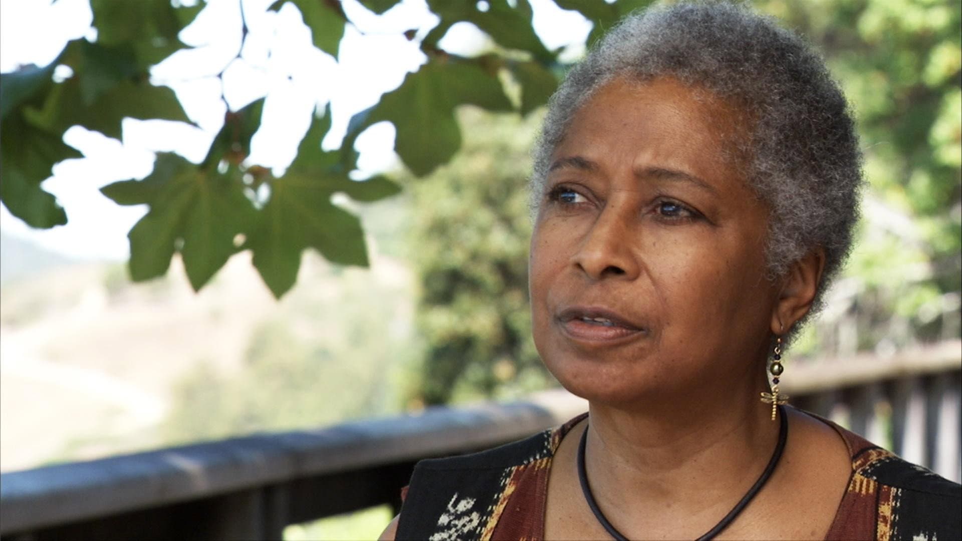 Alice Walker: Beauty in Truth - immagine