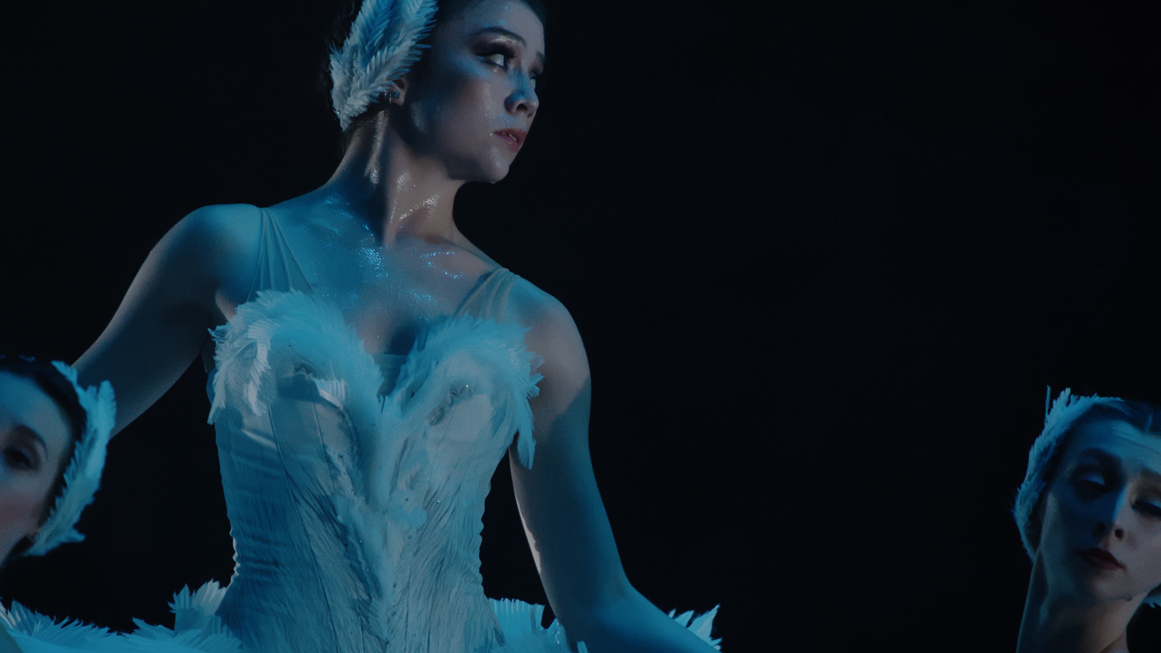 Swan Song - immagine