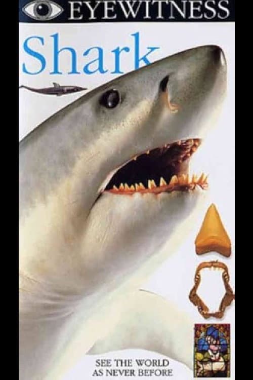 Poster di Eyewitness: Shark