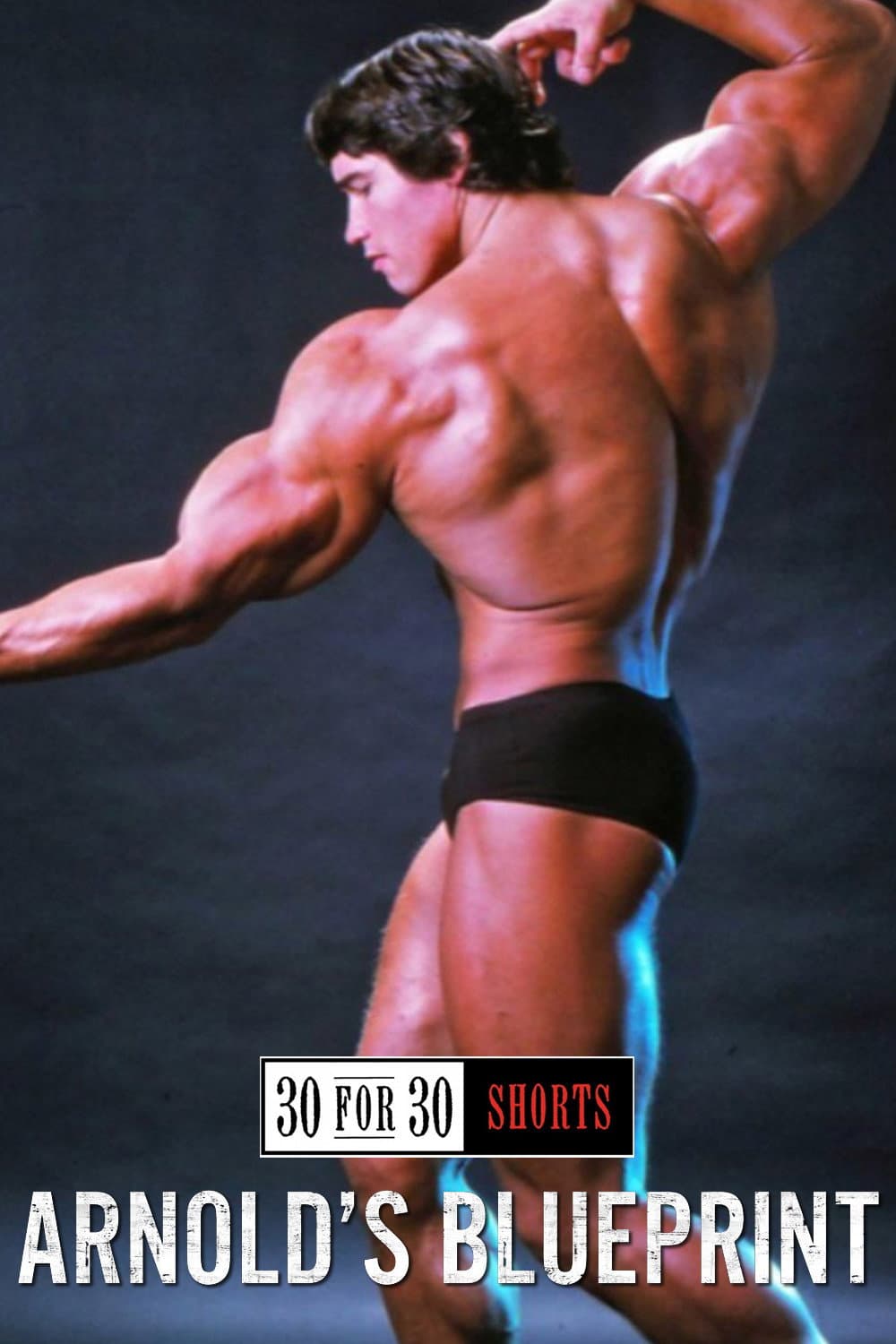Poster di Arnold's Blueprint