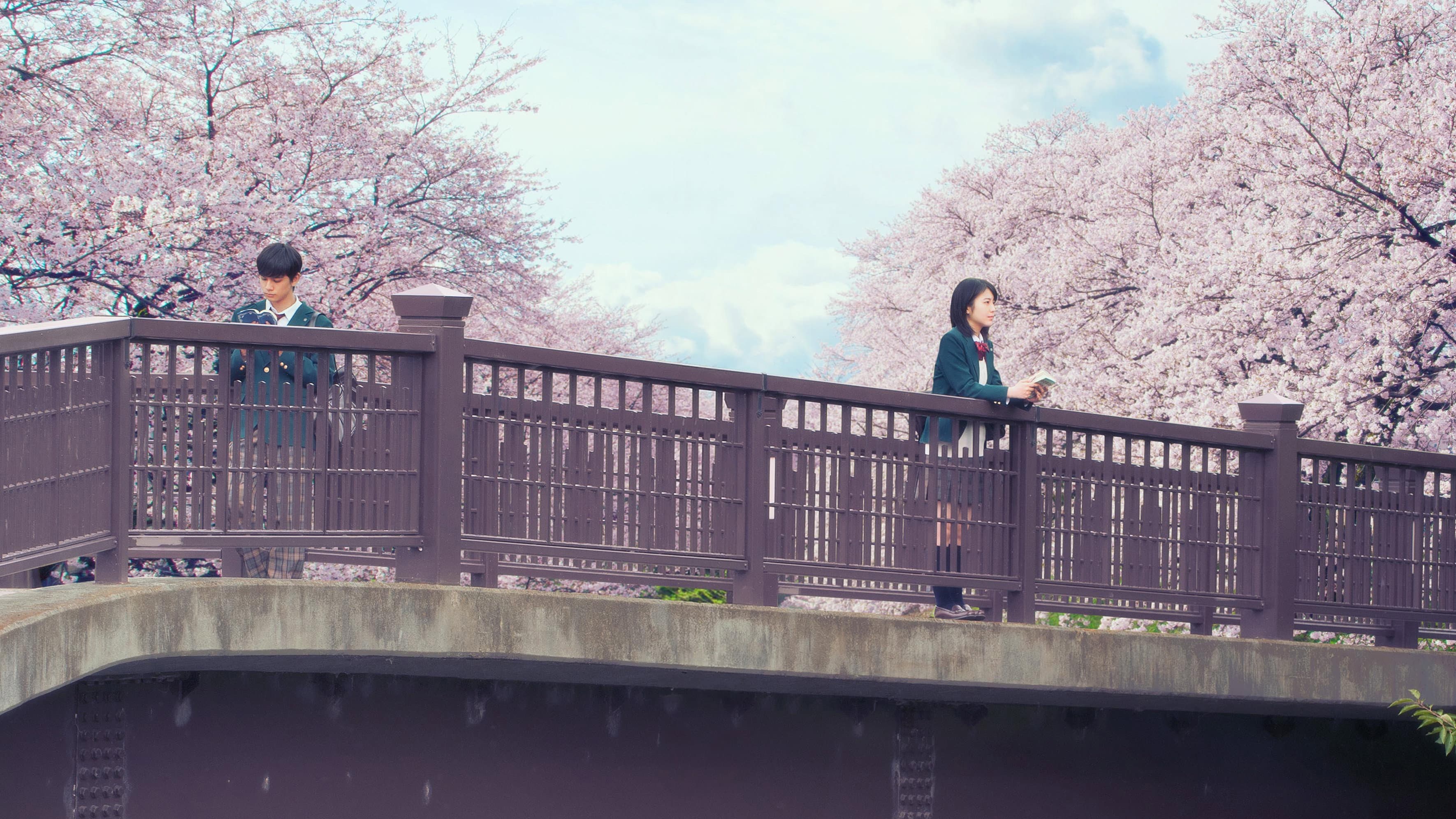 Let Me Eat Your Pancreas - immagine