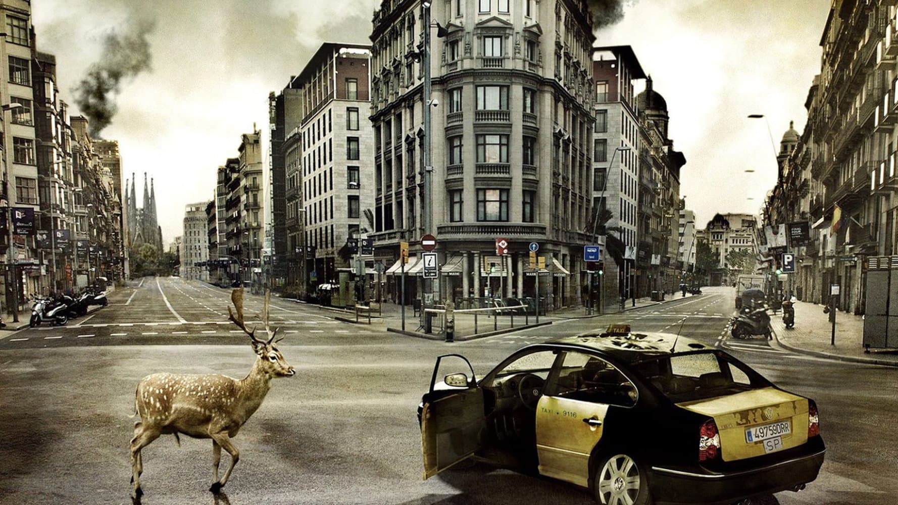 The Last Days - immagine