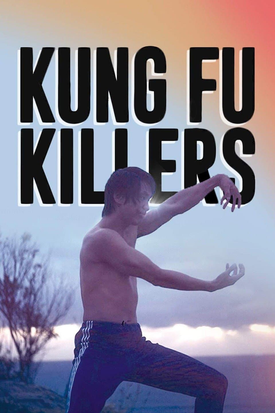 Poster di Kung Fu Killers