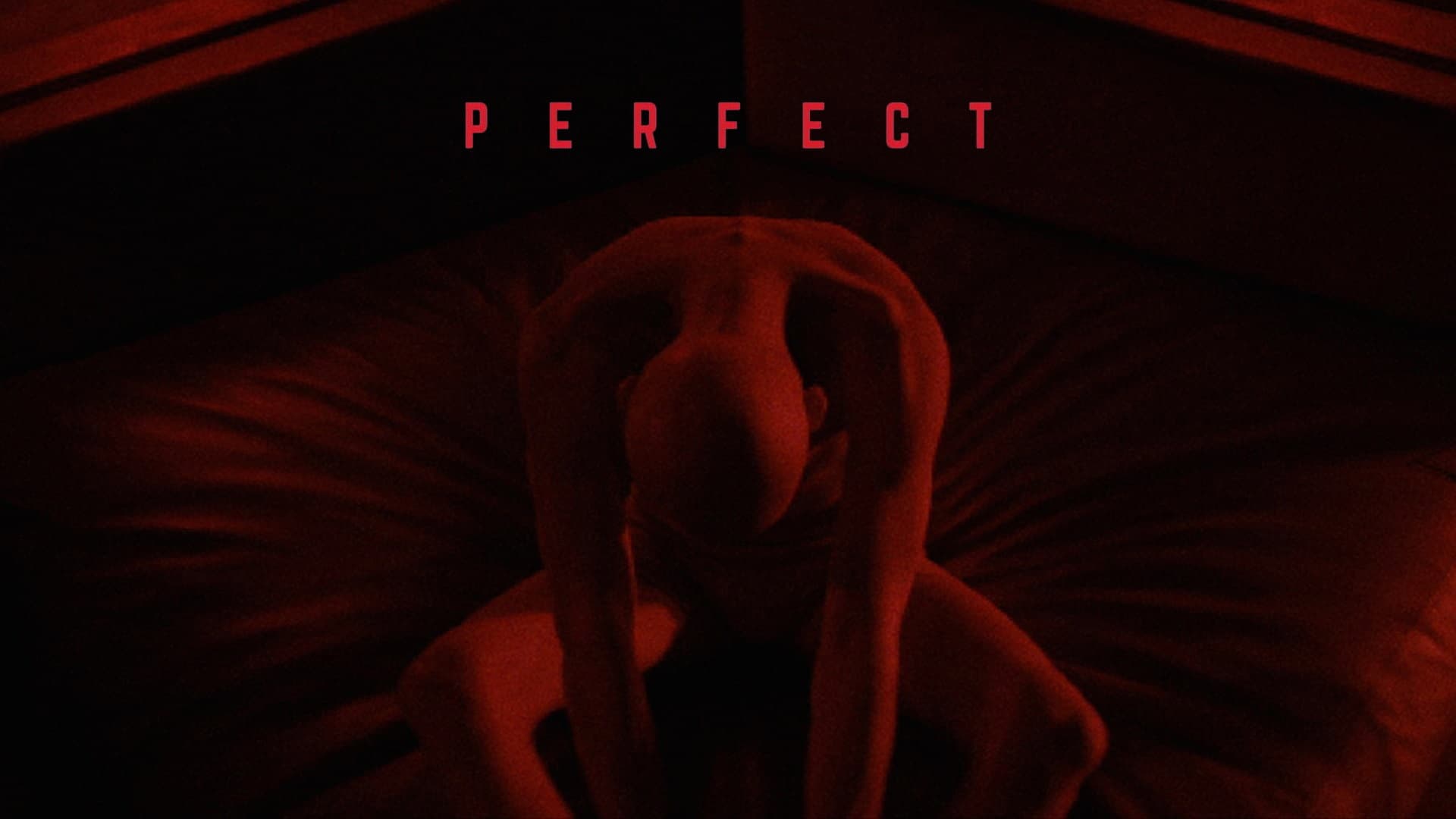 Perfect - immagine