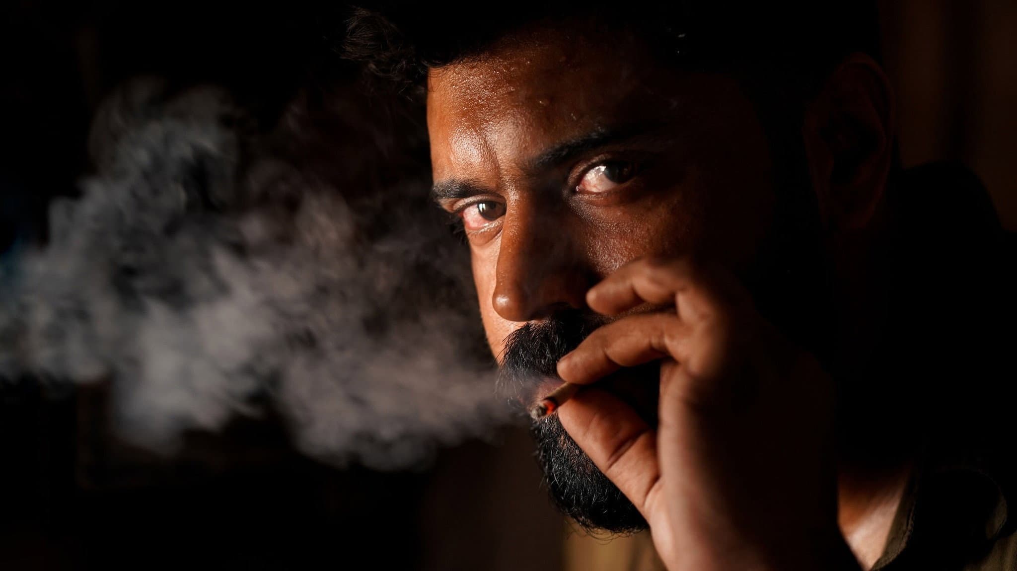 തുറമുഖം - immagine
