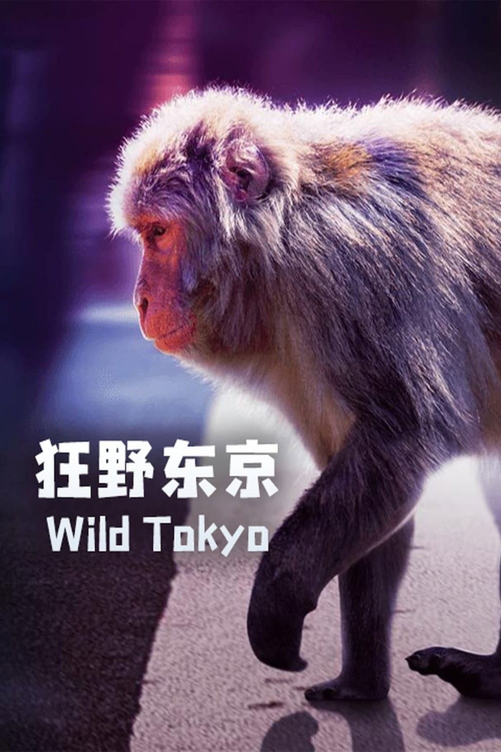 Poster di Wild Tokyo
