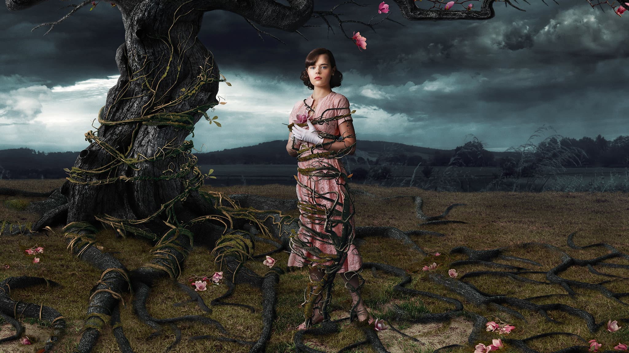 Web of Dreams - immagine
