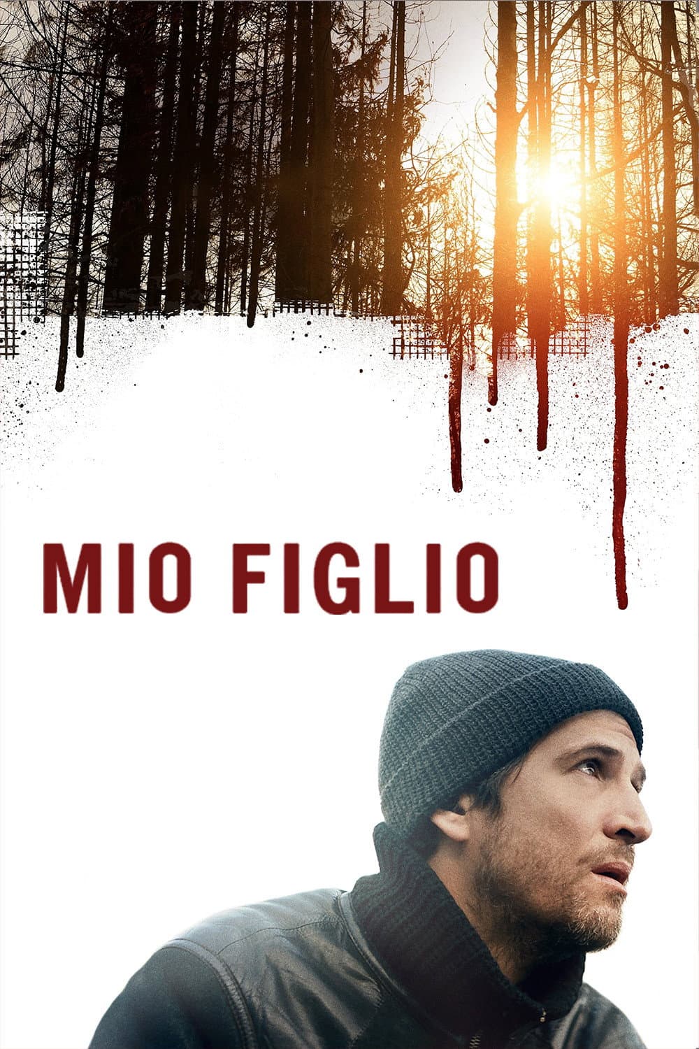 Poster di Mio figlio