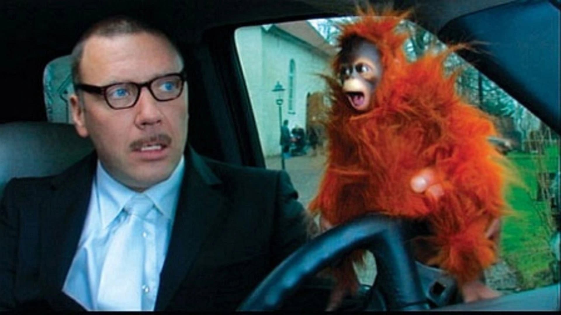 Bang Bang Orangutang - immagine