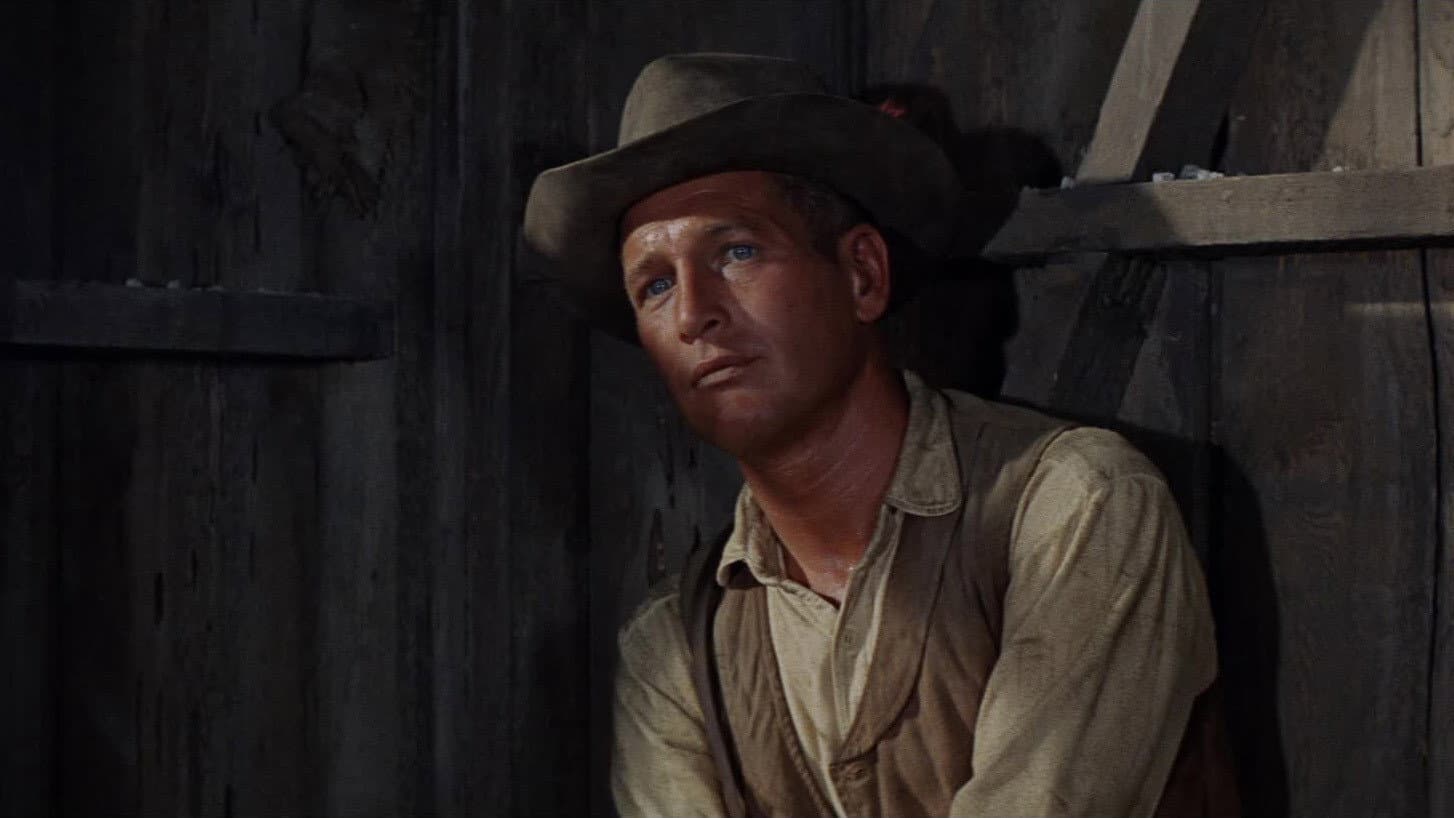 Hombre - immagine