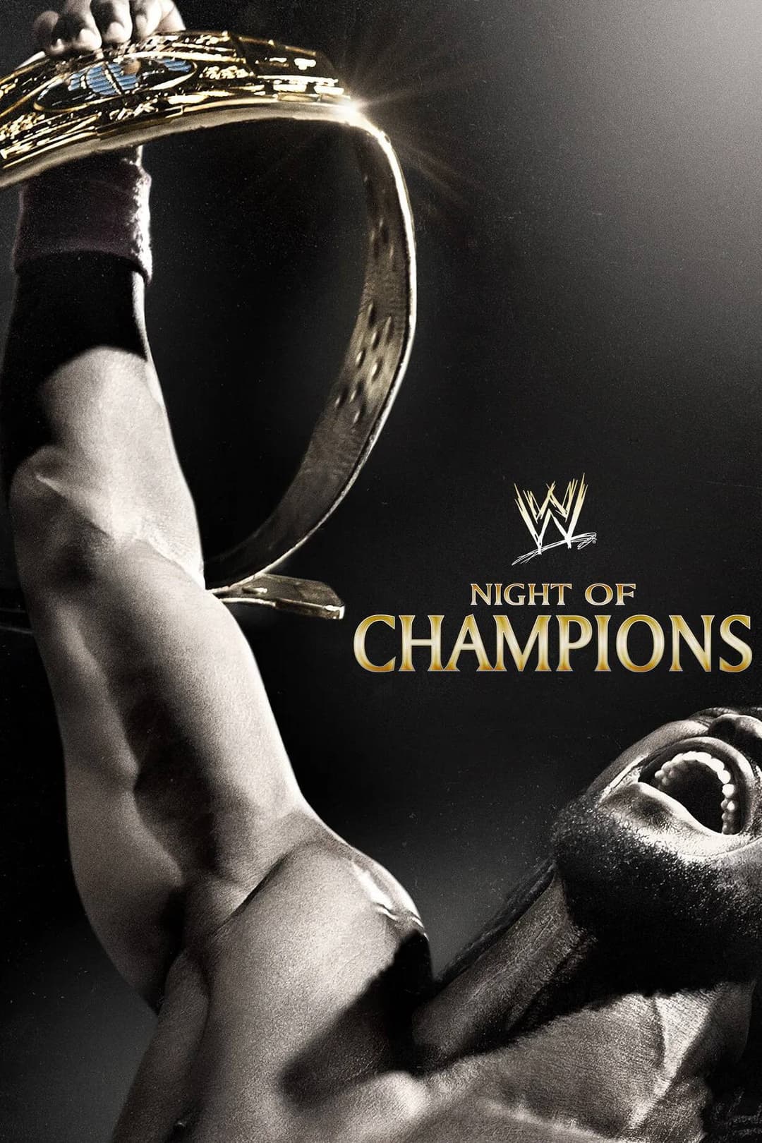 Poster di WWE Night of Champions 2013