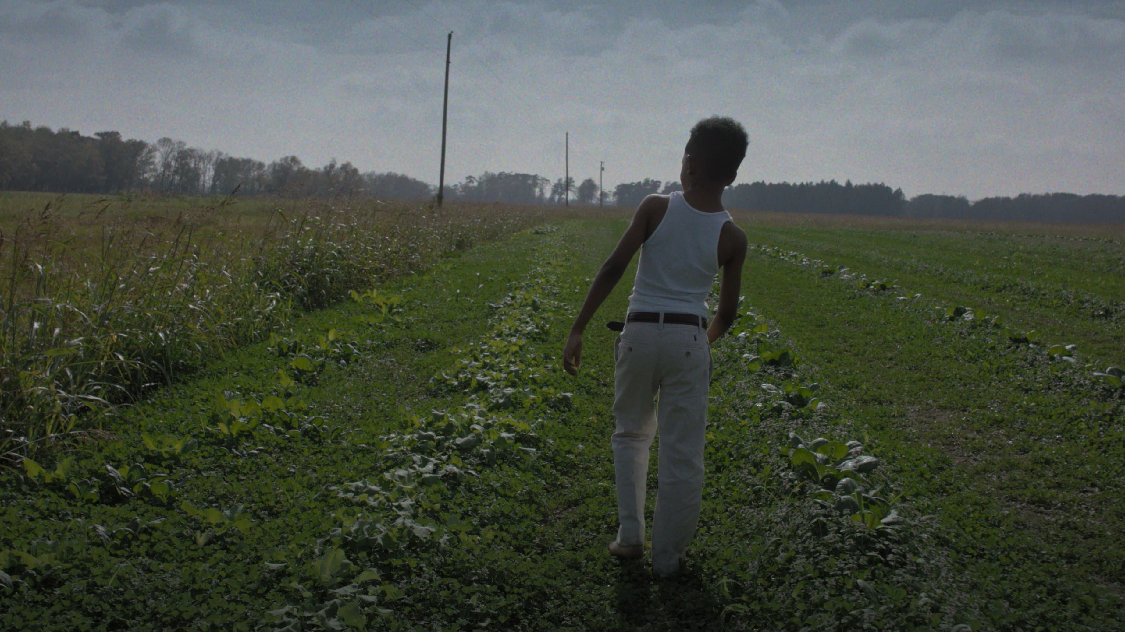 Burning Cane - immagine