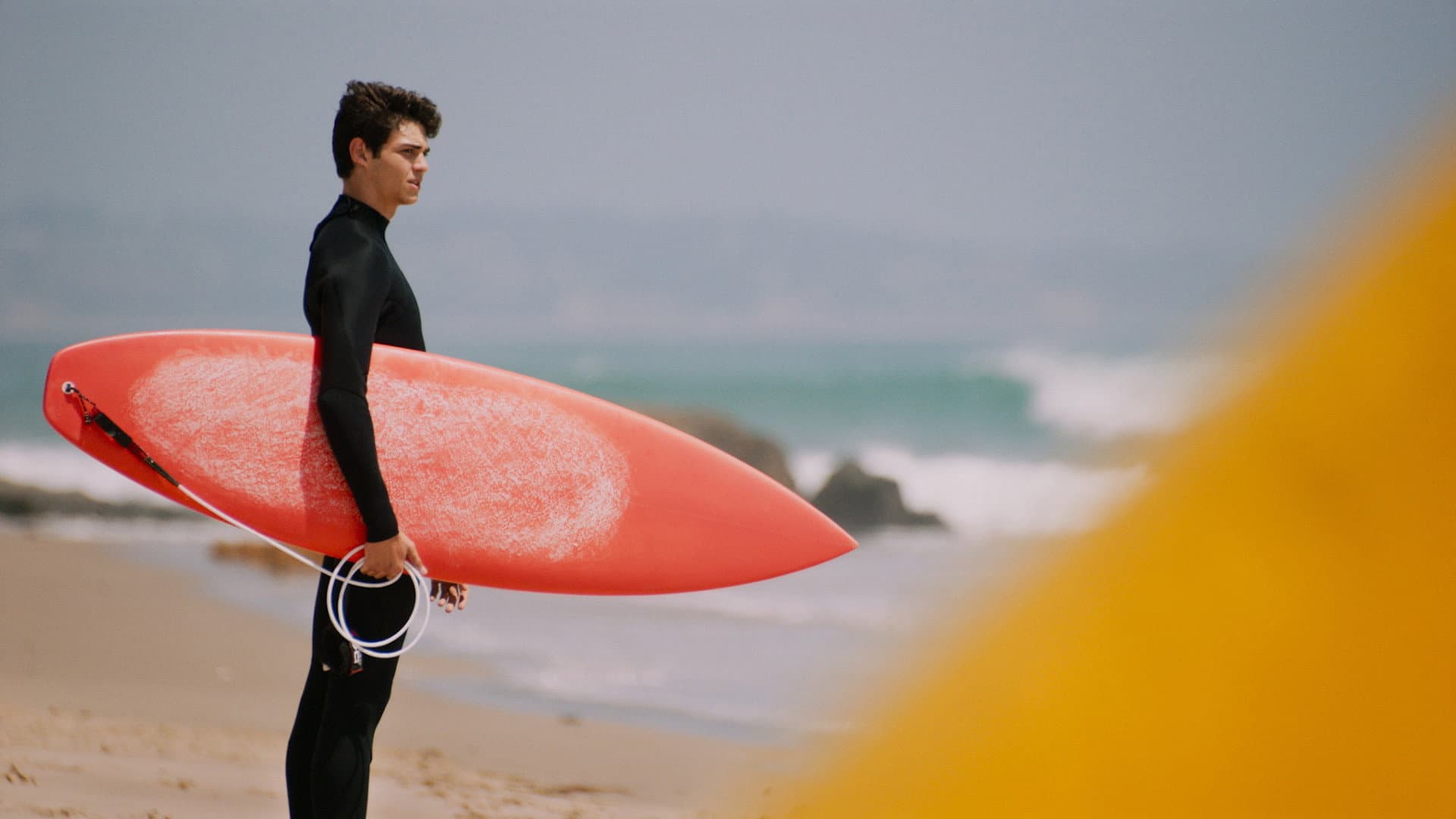 SPF-18 - immagine