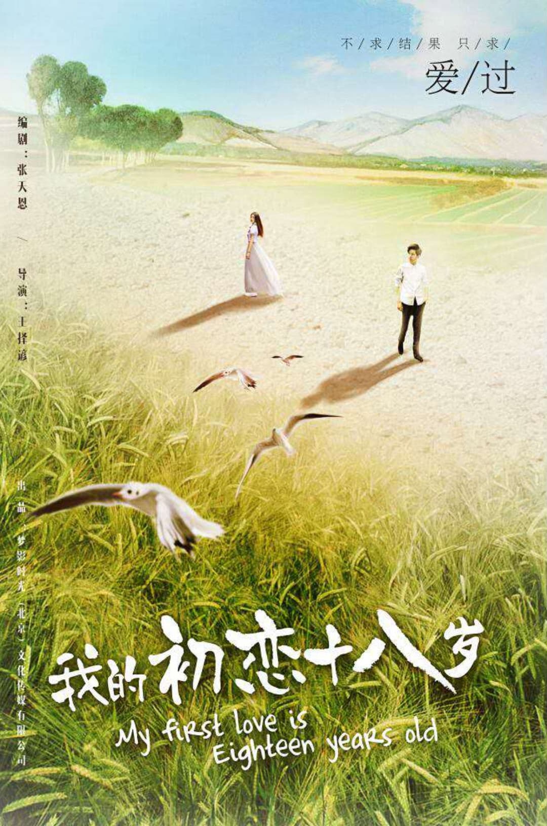 Poster di 我的初恋十八岁